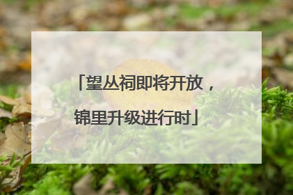 望丛祠即将开放，锦里升级进行时