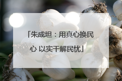 朱成坦：用真心换民心 以实干解民忧