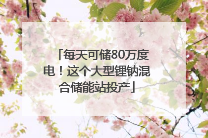每天可储80万度电！这个大型锂钠混合储能站投产