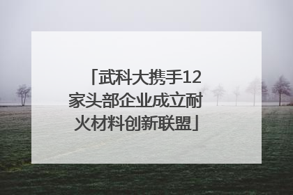 武科大携手12家头部企业成立耐火材料创新联盟
