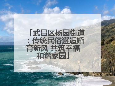 武昌区杨园街道：传统民俗邂逅婚育新风 共筑幸福和谐家园