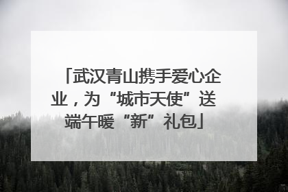 武汉青山携手爱心企业，为“城市天使”送端午暖“新”礼包
