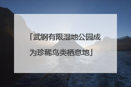 武钢有限湿地公园成为珍稀鸟类栖息地