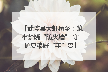 武陟县大虹桥乡：筑牢禁烧“防火墙” 守护夏粮好“丰”景