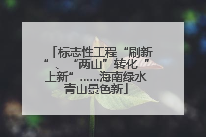 标志性工程“刷新”、“两山”转化“上新”……海南绿水青山景色新