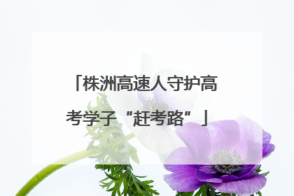 株洲高速人守护高考学子“赶考路”