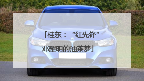 桂东：“红先锋”邓耀明的油茶梦