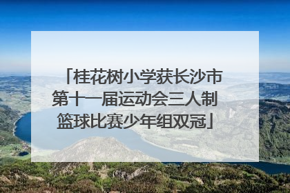 桂花树小学获长沙市第十一届运动会三人制篮球比赛少年组双冠