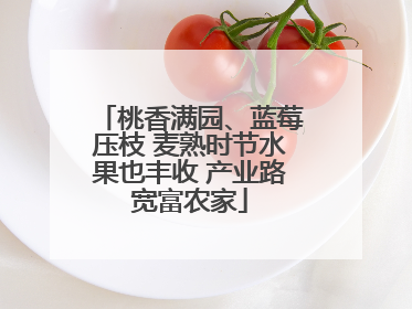 桃香满园、蓝莓压枝 麦熟时节水果也丰收 产业路宽富农家