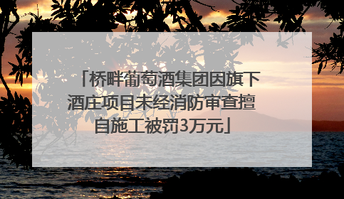 桥畔葡萄酒集团因旗下酒庄项目未经消防审查擅自施工被罚3万元