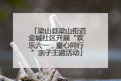 梁山县梁山街道金城社区开展“欢乐六一，童心同行”亲子主题活动