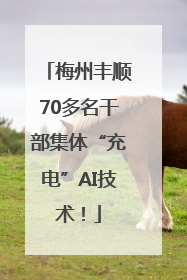 梅州丰顺70多名干部集体“充电”AI技术！
