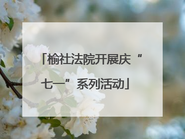 榆社法院开展庆“七一”系列活动