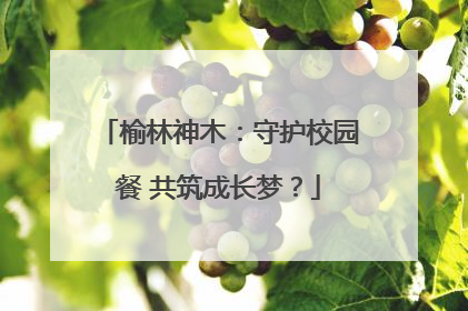 榆林神木：守护校园餐 共筑成长梦？