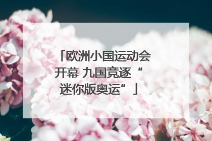 欧洲小国运动会开幕 九国竞逐“迷你版奥运”
