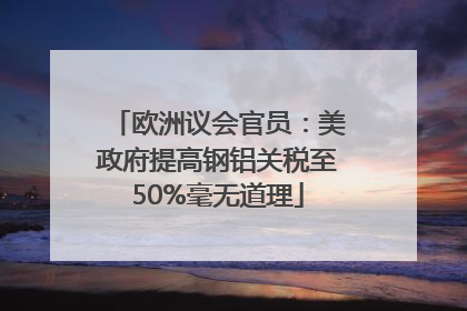 欧洲议会官员：美政府提高钢铝关税至50%毫无道理