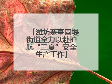 潍坊寒亭固堤街道全力以赴护航“三夏”安全生产工作