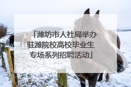 潍坊市人社局举办驻潍院校高校毕业生专场系列招聘活动
