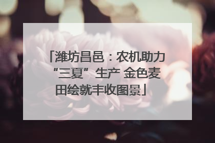 潍坊昌邑：农机助力“三夏”生产 金色麦田绘就丰收图景
