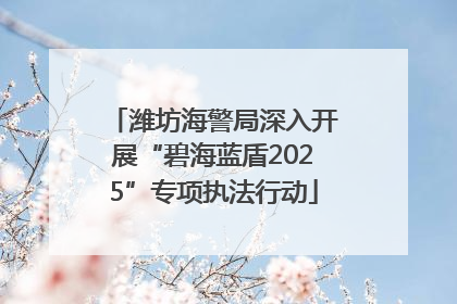 潍坊海警局深入开展“碧海蓝盾2025”专项执法行动
