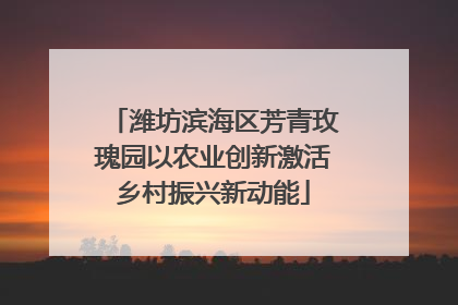 潍坊滨海区芳青玫瑰园以农业创新激活乡村振兴新动能