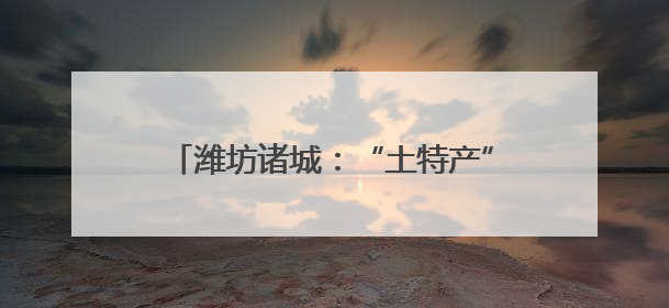 潍坊诸城：“土特产”敲开“致富门”，激活乡村振兴“新引擎”