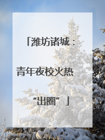 潍坊诸城：青年夜校火热“出圈”