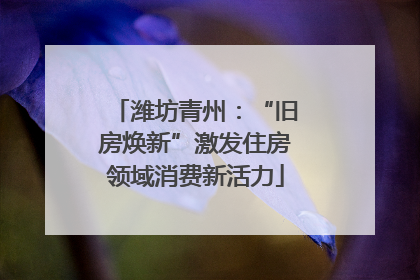 潍坊青州：“旧房焕新”激发住房领域消费新活力