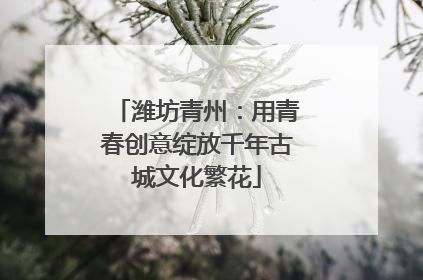 潍坊青州：用青春创意绽放千年古城文化繁花