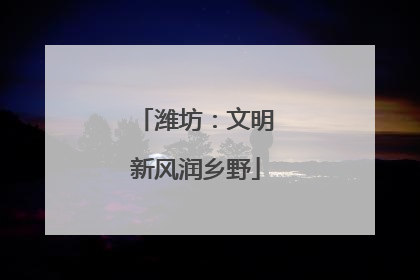 潍坊：文明新风润乡野