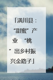 潢川县：“甜蜜”产业  “桃”出乡村振兴金路子