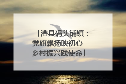 澧县码头铺镇：党旗飘扬映初心 乡村振兴践使命