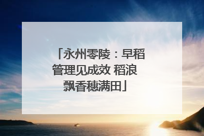 永州零陵：早稻管理见成效 稻浪飘香穗满田