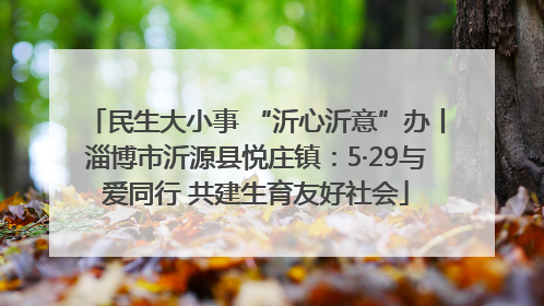 民生大小事 “沂心沂意”办丨淄博市沂源县悦庄镇：5·29与爱同行 共建生育友好社会