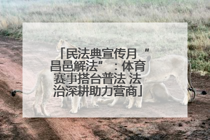 民法典宣传月“昌邑解法”：体育赛事搭台普法 法治深耕助力营商