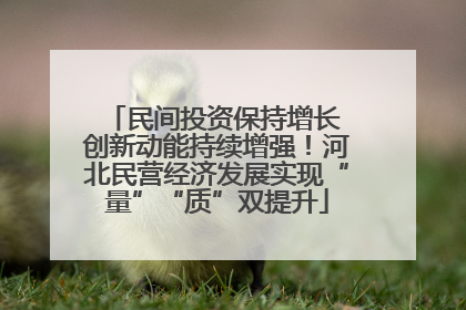 民间投资保持增长 创新动能持续增强！河北民营经济发展实现“量”“质”双提升