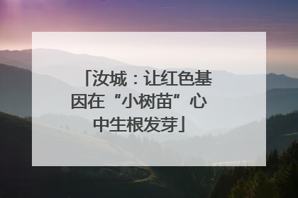 汝城：让红色基因在“小树苗”心中生根发芽