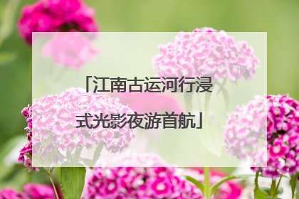 江南古运河行浸式光影夜游首航