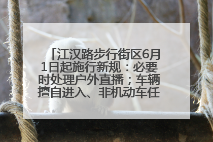 江汉路步行街区6月1日起施行新规：必要时处理户外直播；车辆擅自进入、非机动车任意停放的，依法处理