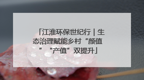 江淮环保世纪行｜生态治理赋能乡村“颜值”“产值”双提升