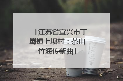 江苏省宜兴市丁蜀镇上坝村：茶山竹海传新曲