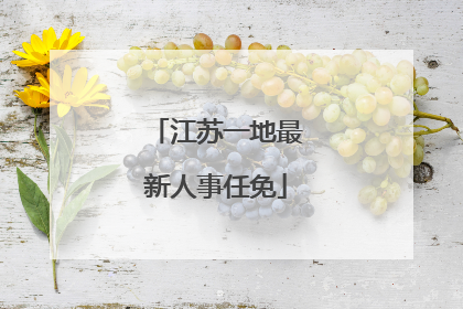 江苏一地最新人事任免