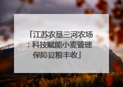 江苏农垦三河农场：科技赋能小麦管理保障夏粮丰收