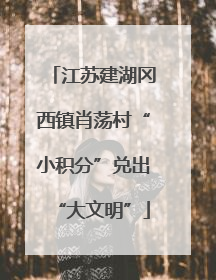 江苏建湖冈西镇肖荡村“小积分”兑出“大文明”