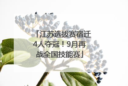 江苏选拔赛宿迁4人夺冠！9月再战全国技能赛