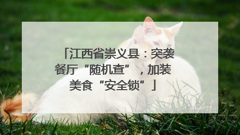 江西省崇义县：突袭餐厅“随机查”，加装美食“安全锁”