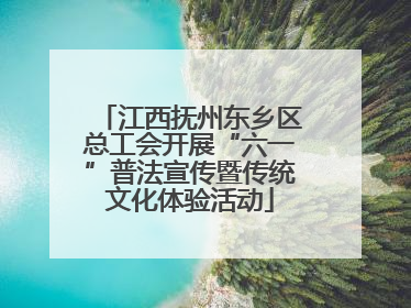 江西抚州东乡区总工会开展“六一”普法宣传暨传统文化体验活动