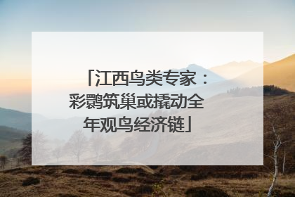 江西鸟类专家：彩鹮筑巢或撬动全年观鸟经济链