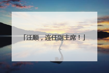 汪顺，连任副主席！