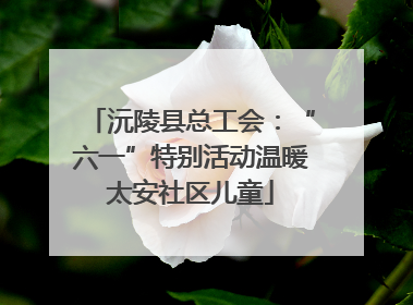 沅陵县总工会：“六一”特别活动温暖太安社区儿童